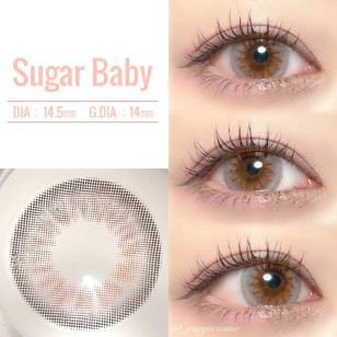 COLOR MAJORITY 1Day Sugar Baby カラーマジョリティー シュガーベイビー